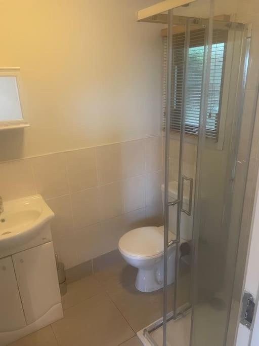 Self Catering Apartment At Beechwalk House. Enniskerry Dış mekan fotoğraf