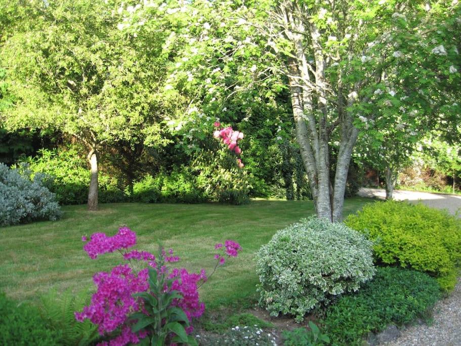 Self Catering Apartment At Beechwalk House. Enniskerry Dış mekan fotoğraf