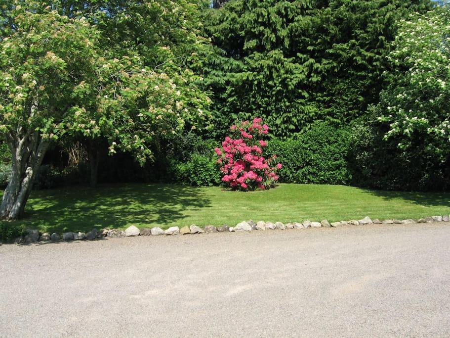 Self Catering Apartment At Beechwalk House. Enniskerry Dış mekan fotoğraf
